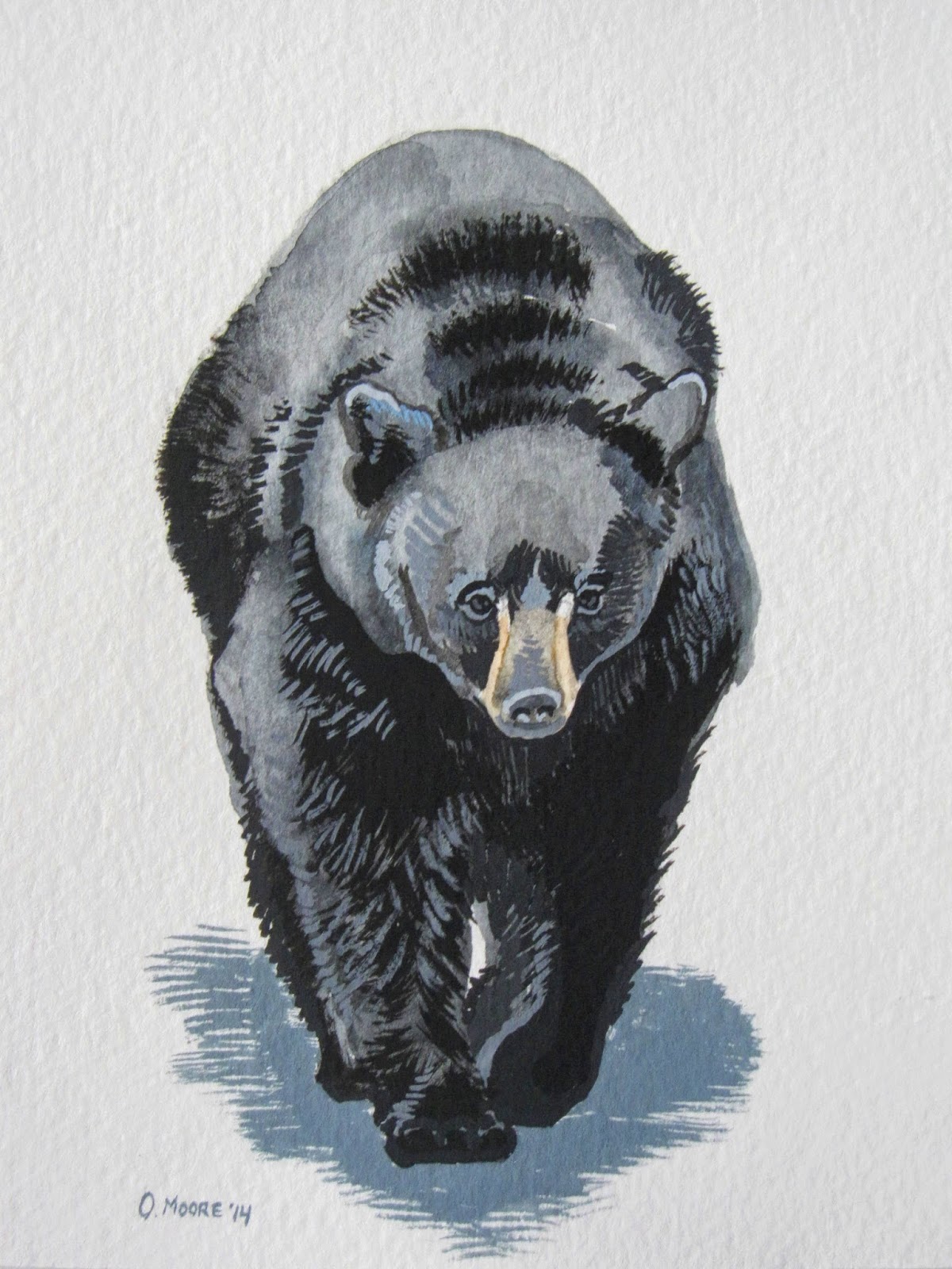 PoofyDove Black Bear Watercolor Painting