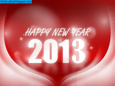سنة سعيدة 2013 - New year 2013 سنة سعيدة 2013 - New year 2013