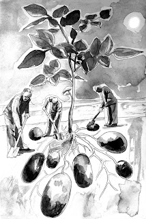 Illustration by Caty Bartholomew Illustration by Caty Bartholomew