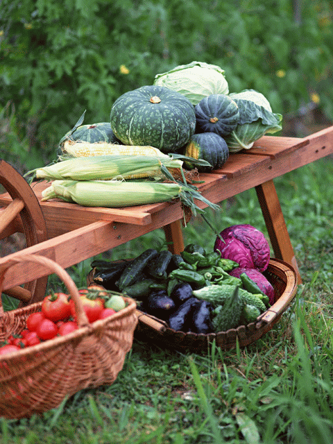 Carrito de verduras carrito de verduras
