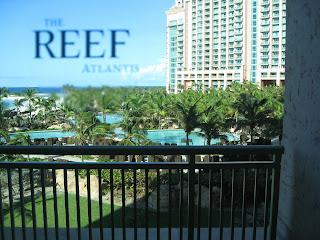 Artsy shot through sticker on balcony's glass door--how impressed are you?