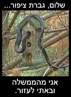 שלום, גברת ציפור... אני מהממשלה ובאתי לעזור