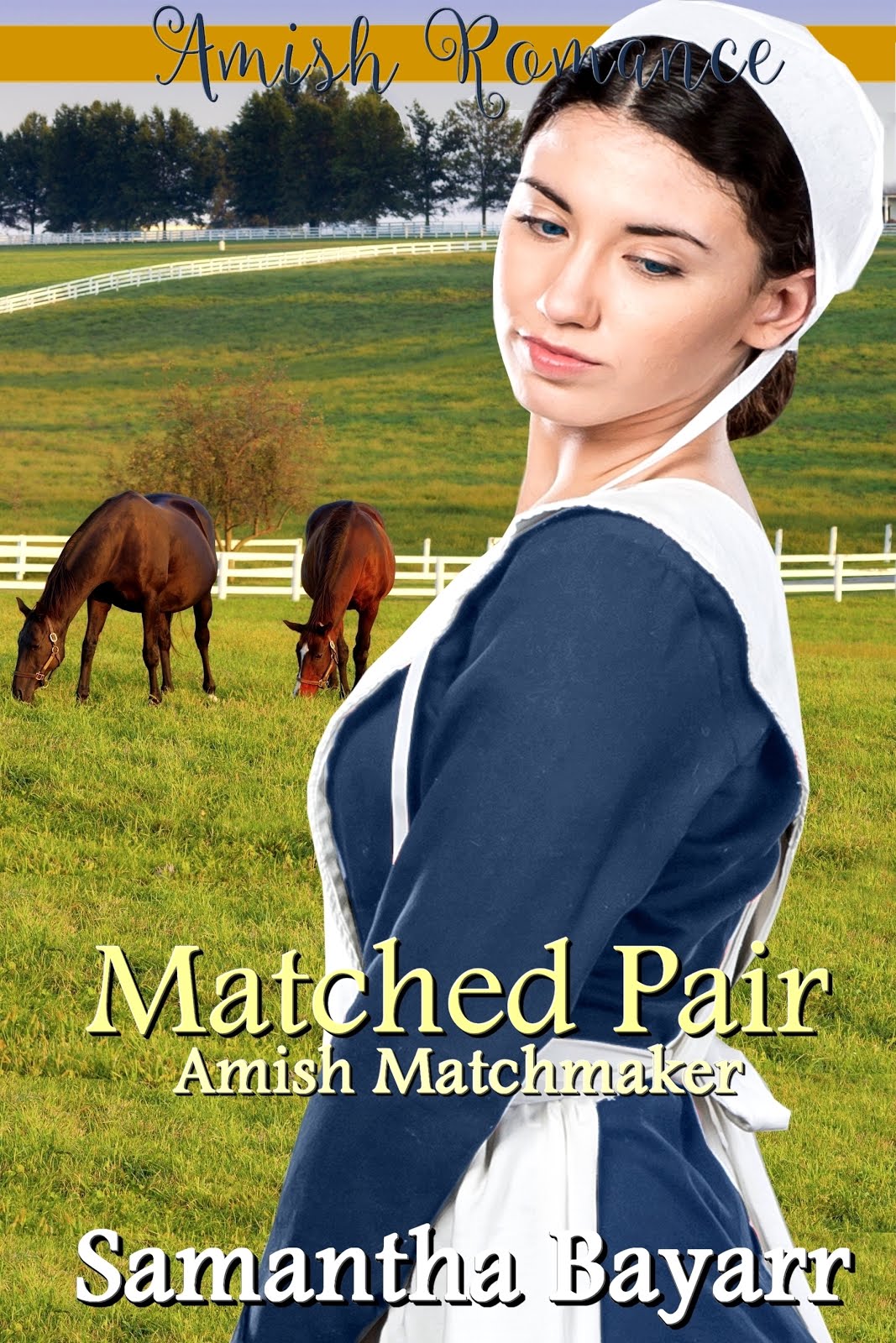 A Matched Pair: The Amish Matchmaker