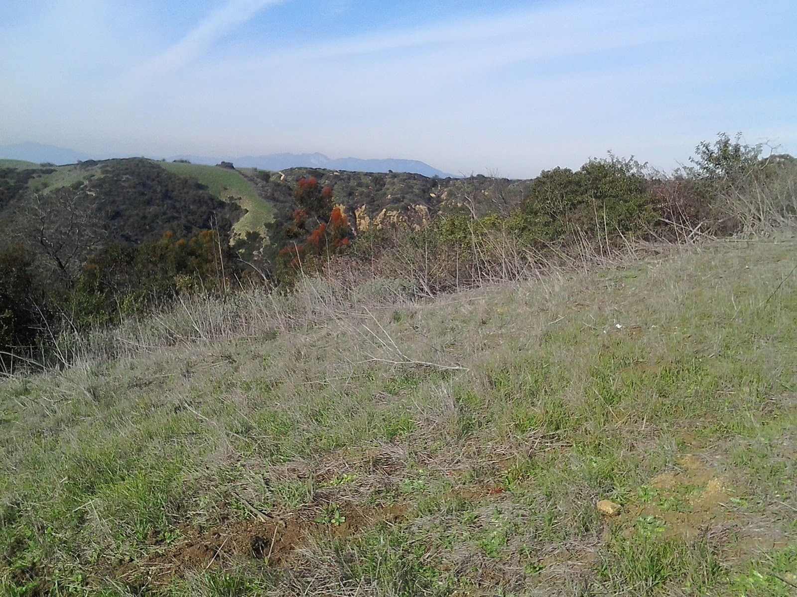 Turnbull Canyon Whittier, CA Hellman Wilderness Park, Whittier California