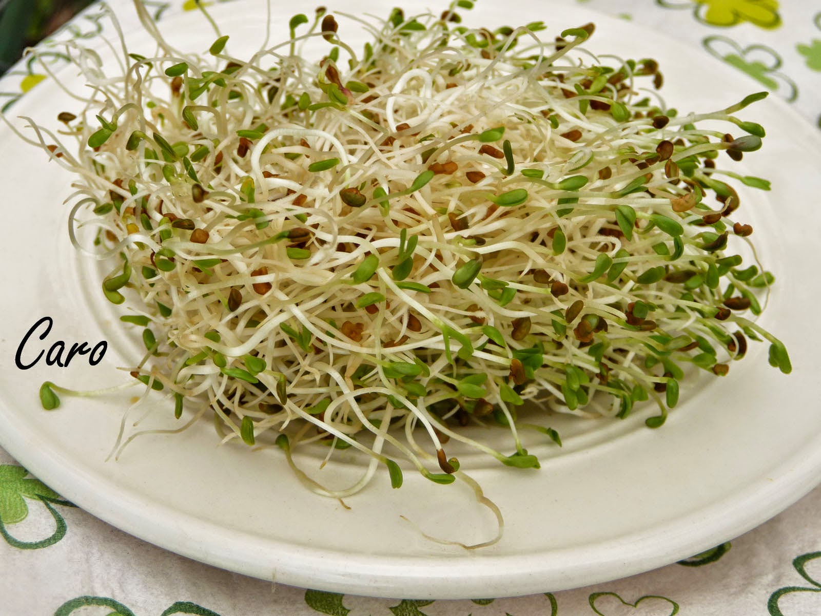 Jamón Con Alfalfa
