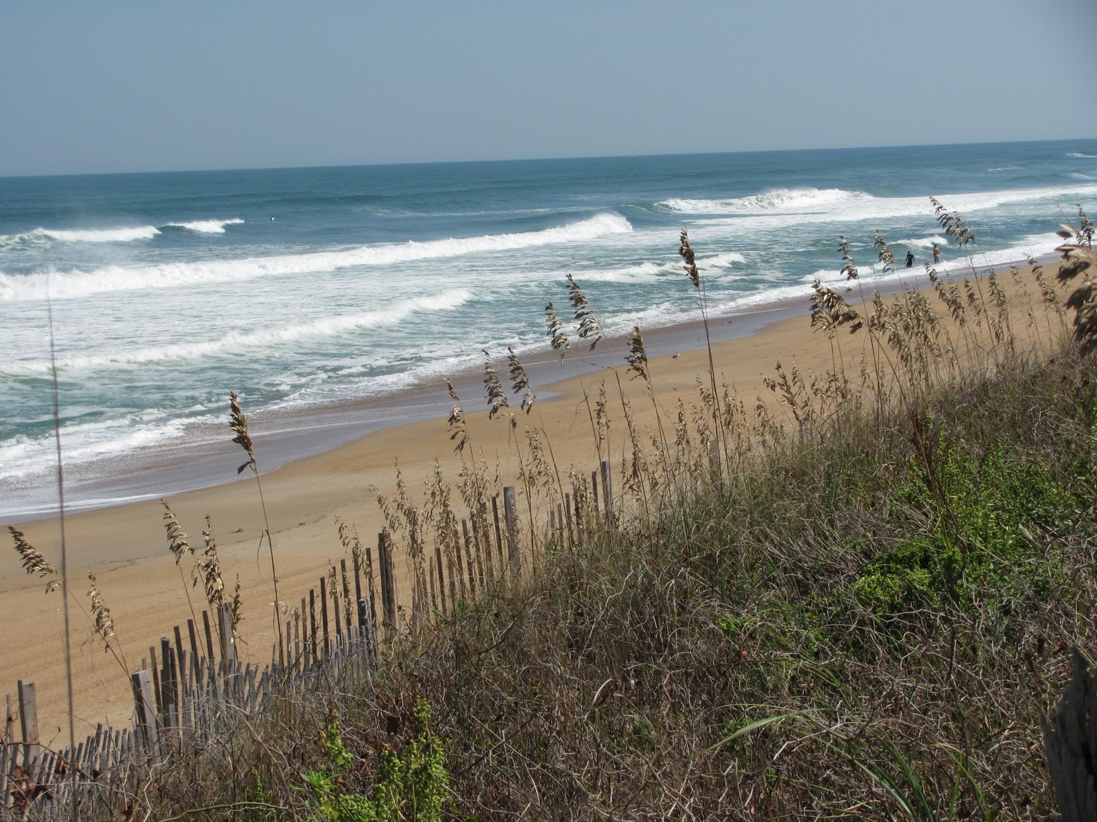 Horses are my passion Kitty Hawk Beach riding
