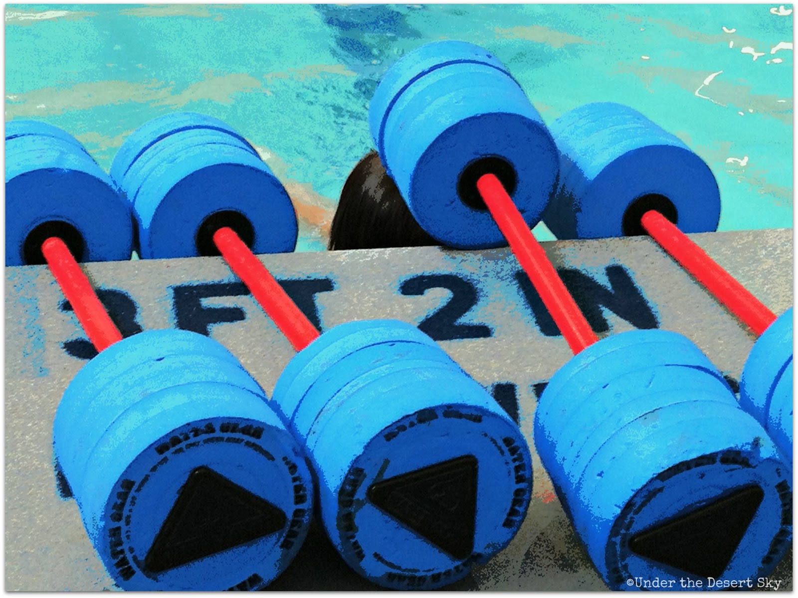 Under the Desert Sky 05/01/2012 06/01/2012