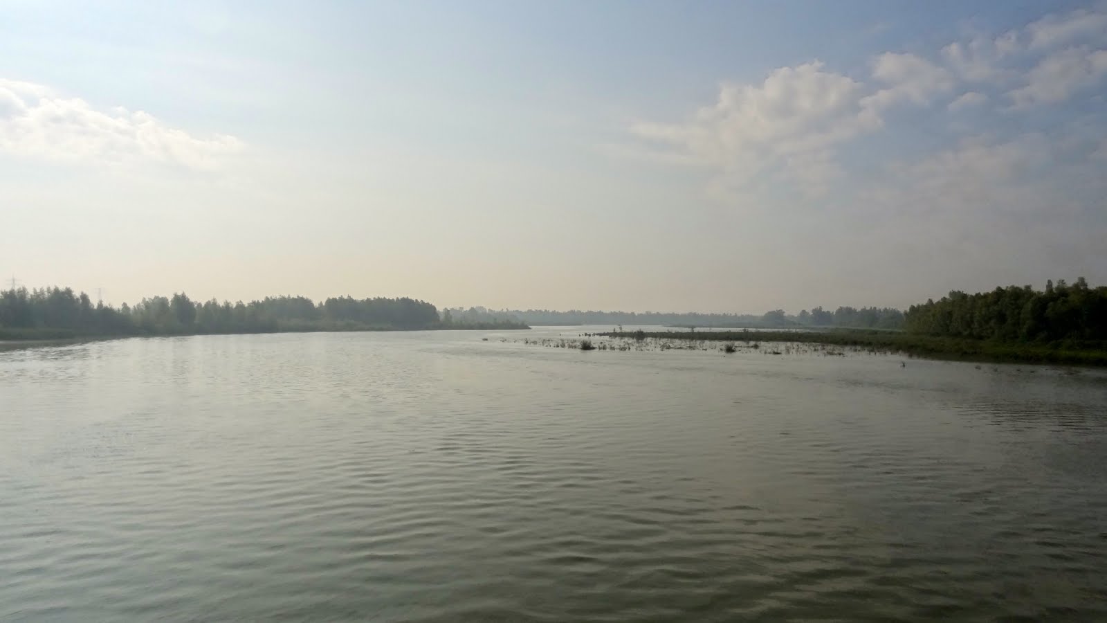 Rotterdam Rotterdam Rotterdam Ladybird