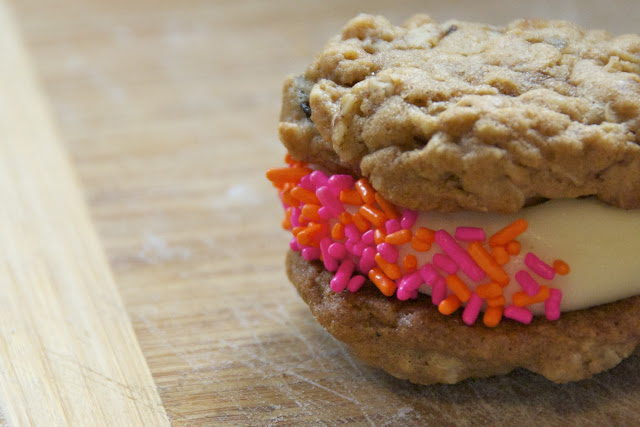 Can My Dog Eat Maple Cookies Can My Dog Eat Maple Cookies