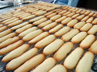 lengua de gato