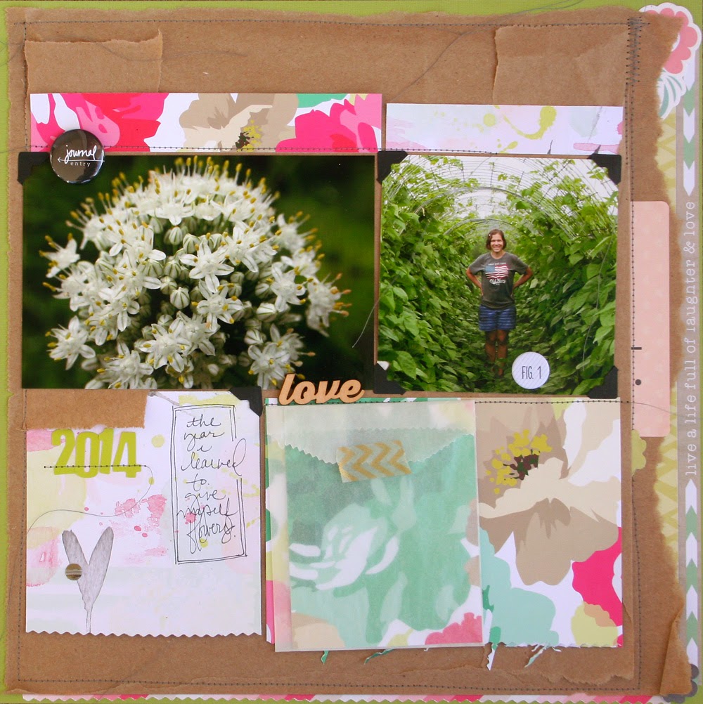 meanderings . . . cocoa daisy february reveal!