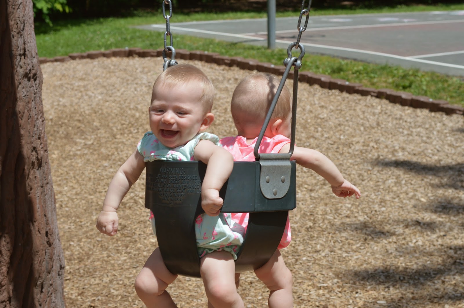 Musings on the Simple Life Twin Swing