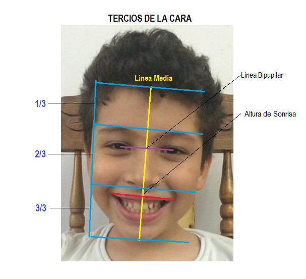 INTRODUCCIÓN A LA ODONTOLOGÍA