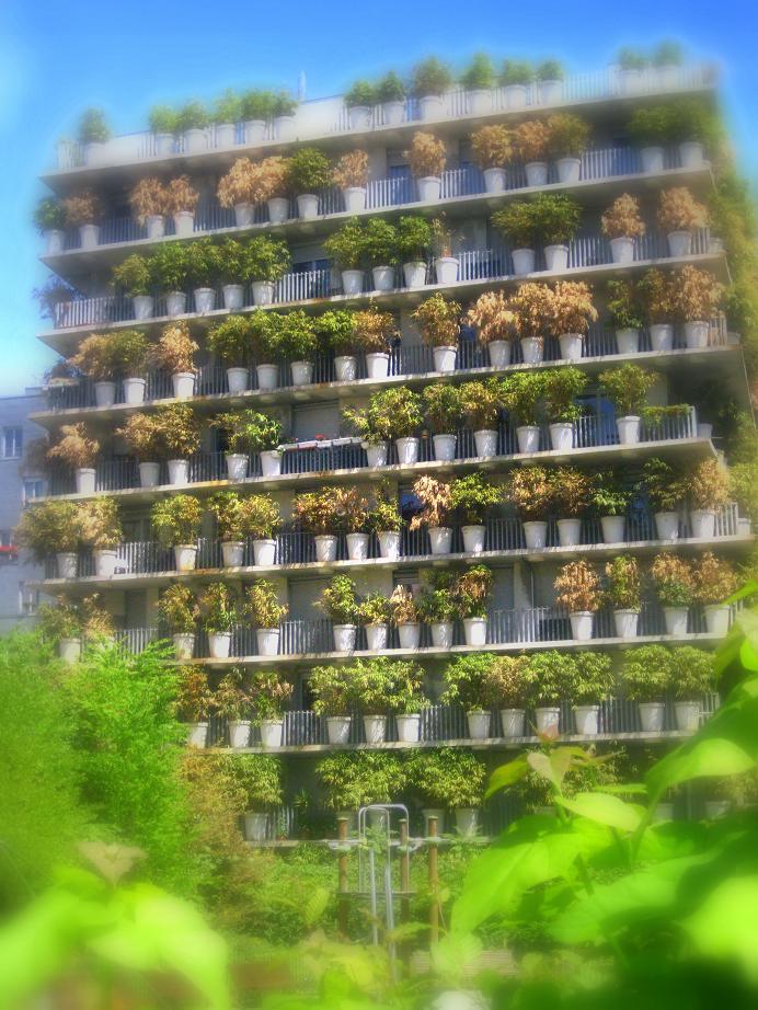 The Tower Flower Invisible Paris