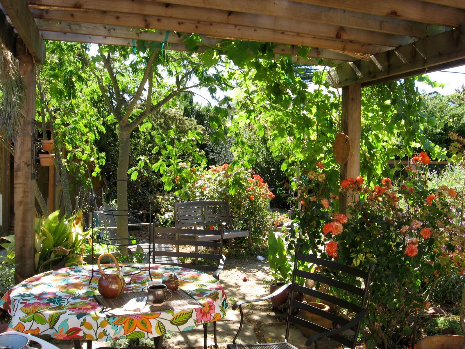 Garden Pergola Design Ideas