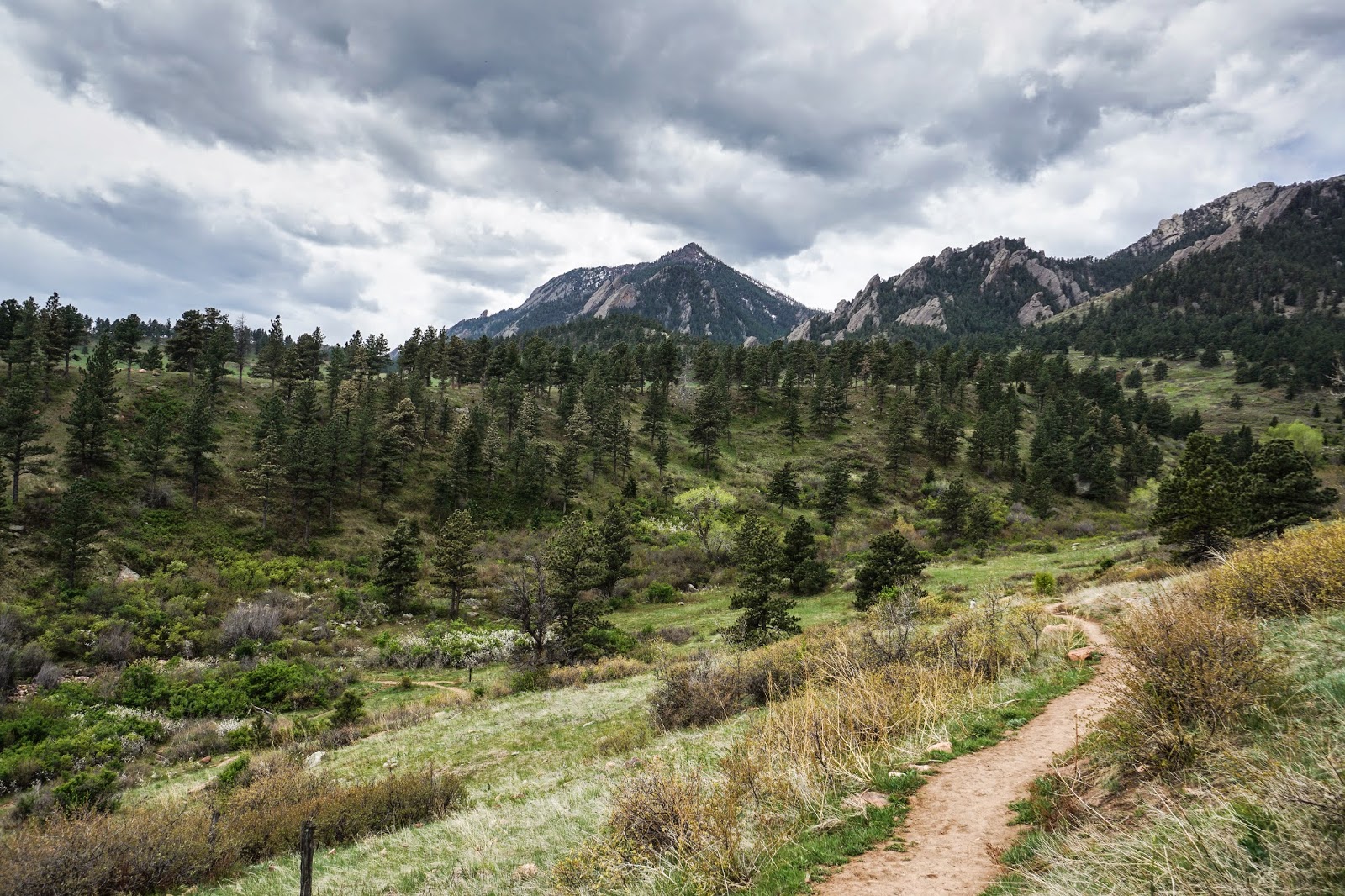 Go Hike Colorado Skunk Canyon > Kohler Mesa Loop, Boulder Mountain Park