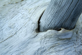 Julie Harrington: Sensory Details: In Living Color - Part 3