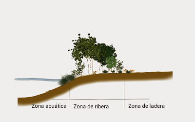 Definición de zona riparia o de ribera de río (II). Hikergoer