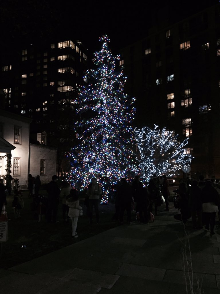 Roosevelt Islander Online Wonderful Time At Roosevelt Island Holiday