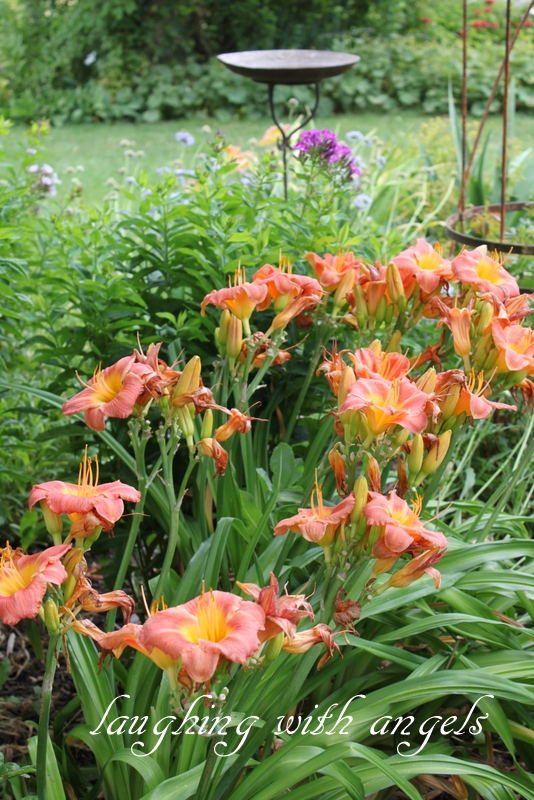 Grace Gardens This was July in the garden...