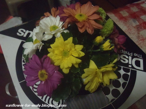 the type of flowers, their the type of flowers, their