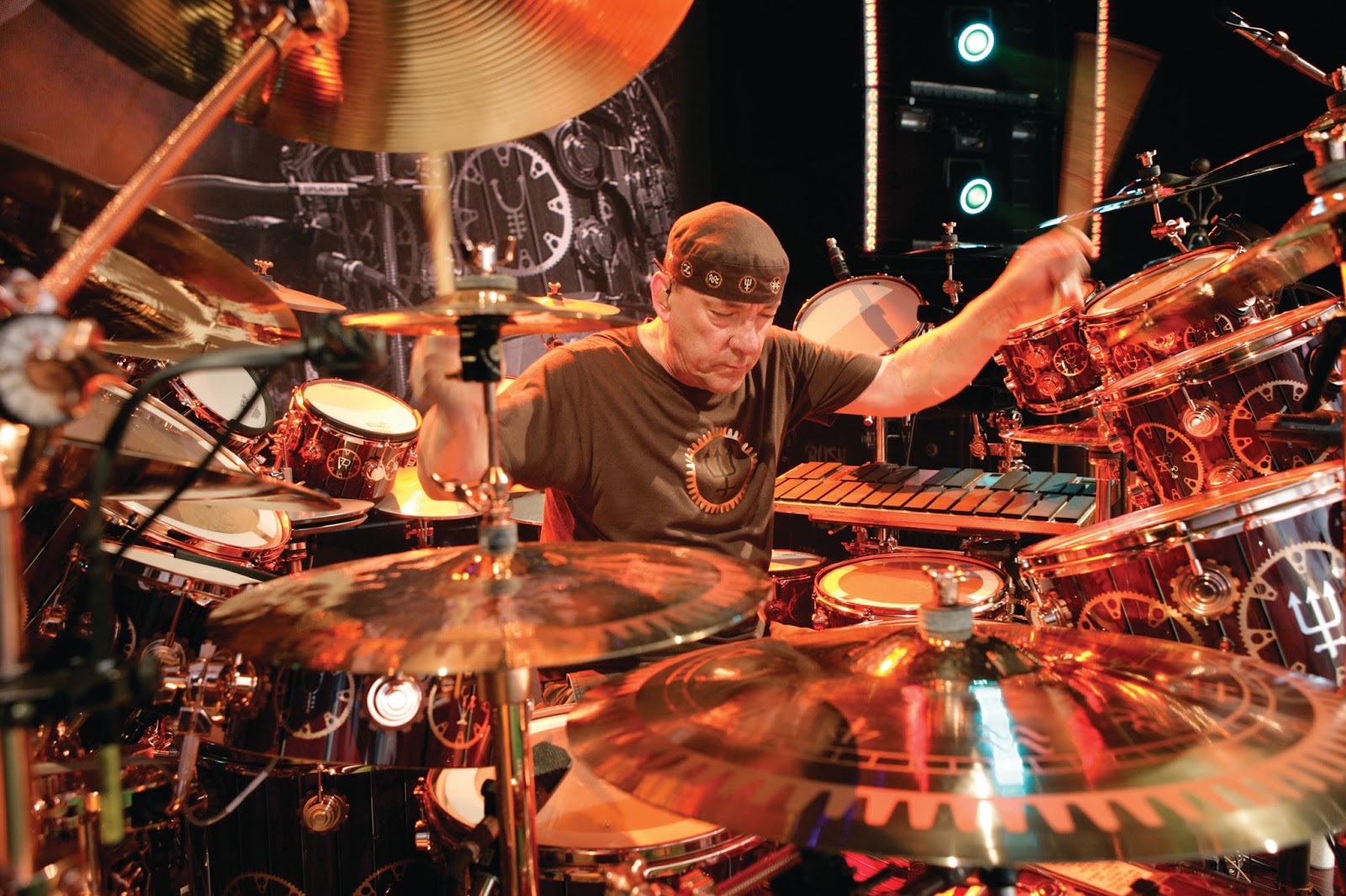The Wounded Mosquito Why I Don't Love Neil Peart