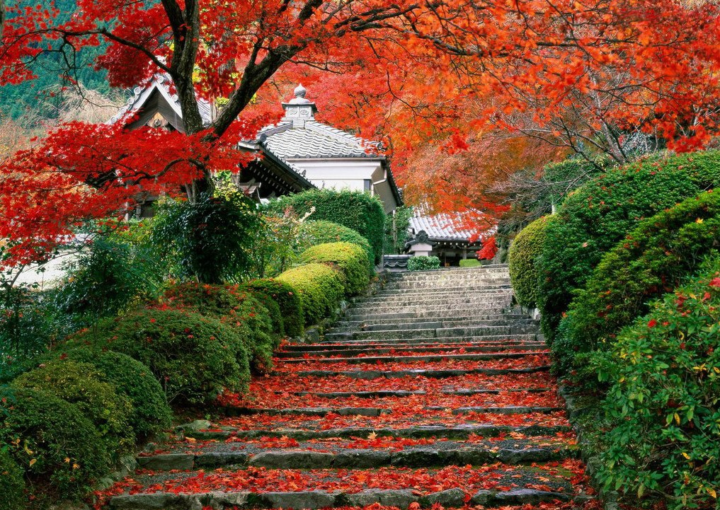 Beautiful Nature Wallpapers Beautiful Nature Wallpapers