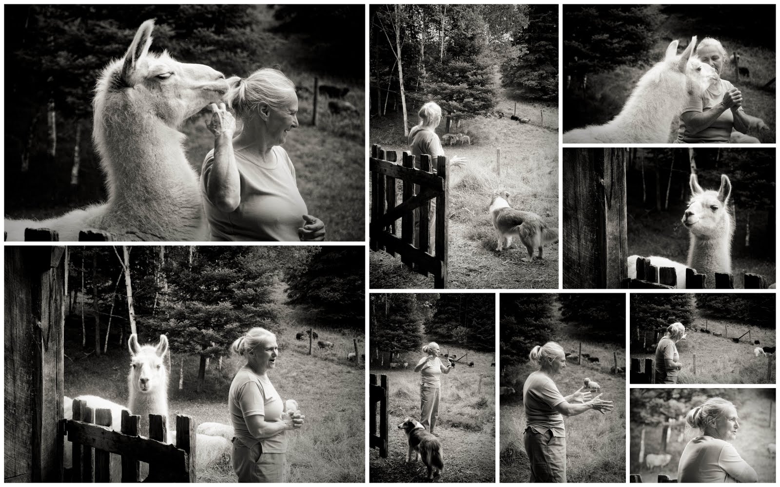 site de rencontre gratuit au togo