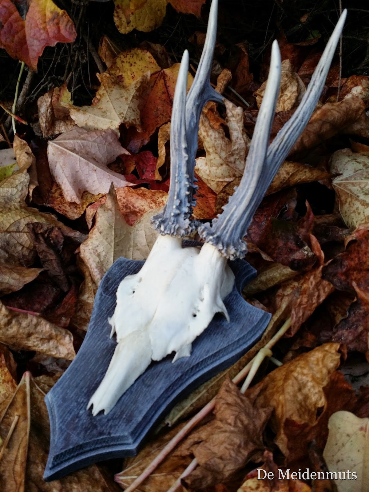 De meidenmuts: november 2014