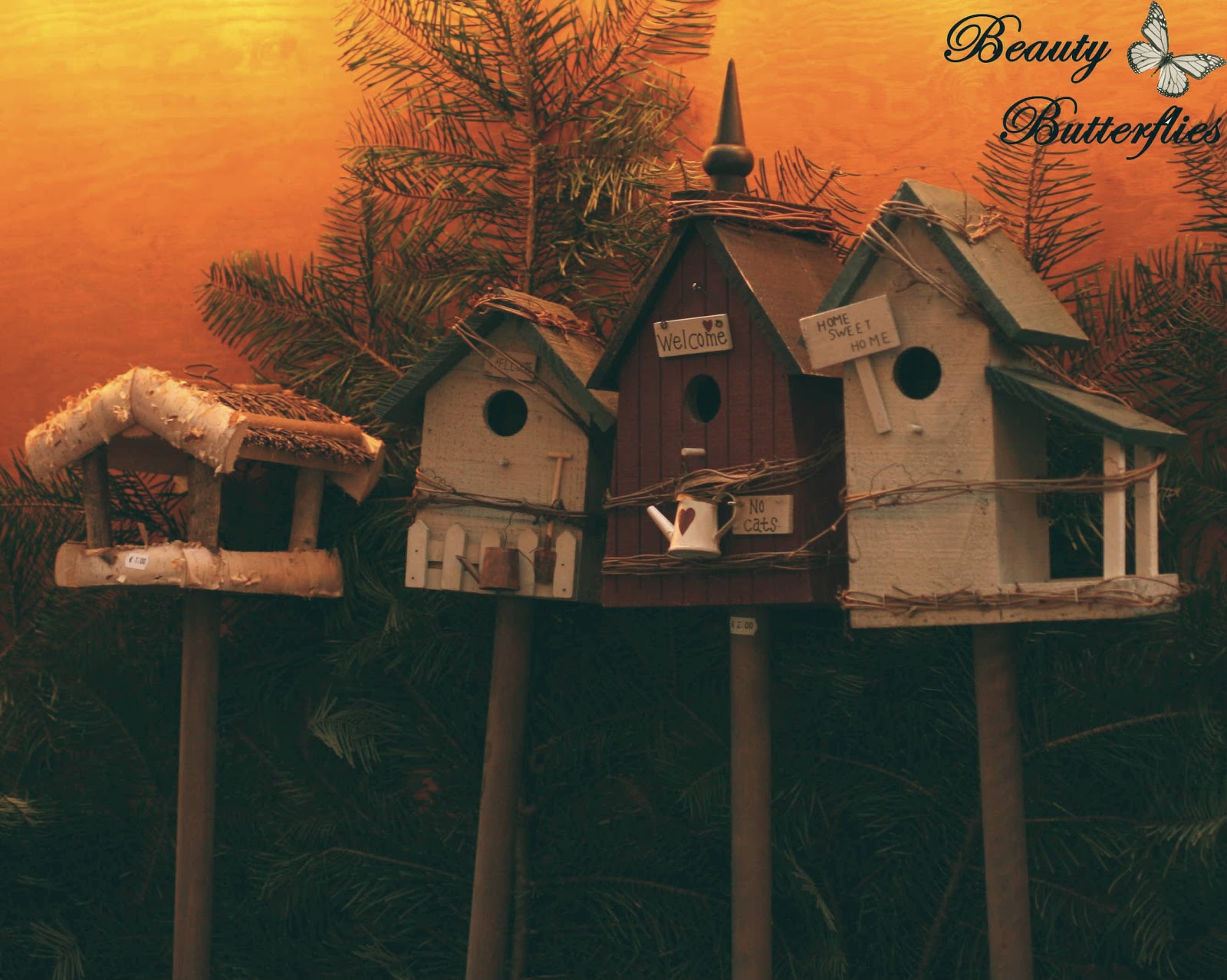 Das Blog November 2008