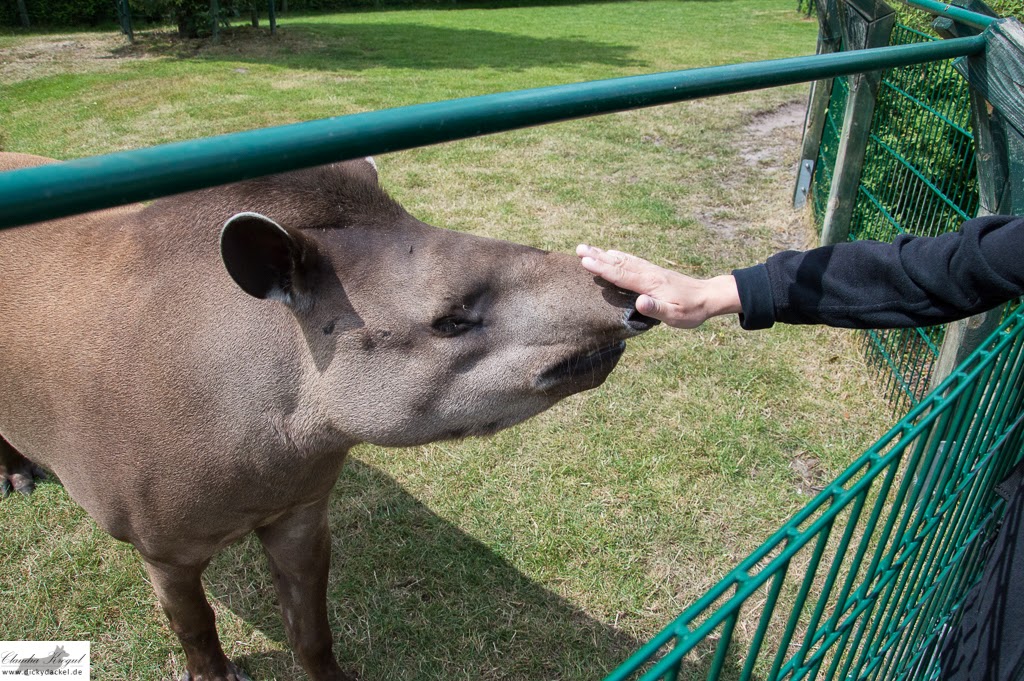 Von Spielzeit Und Einem Parkbesuch Unser Wochenende In Bildern