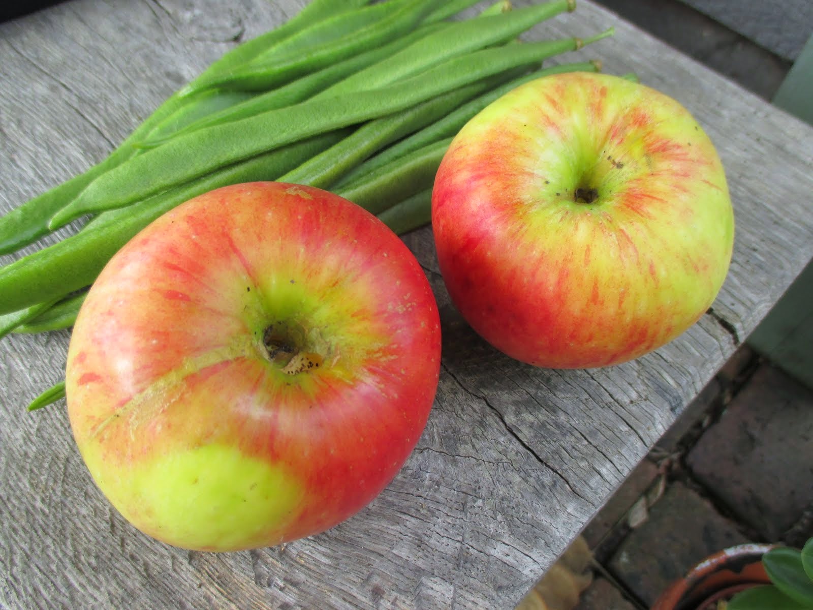 Garden produce