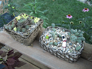 Cheesehead Gardening: Miniature Container Gardens / Fairy Gardens