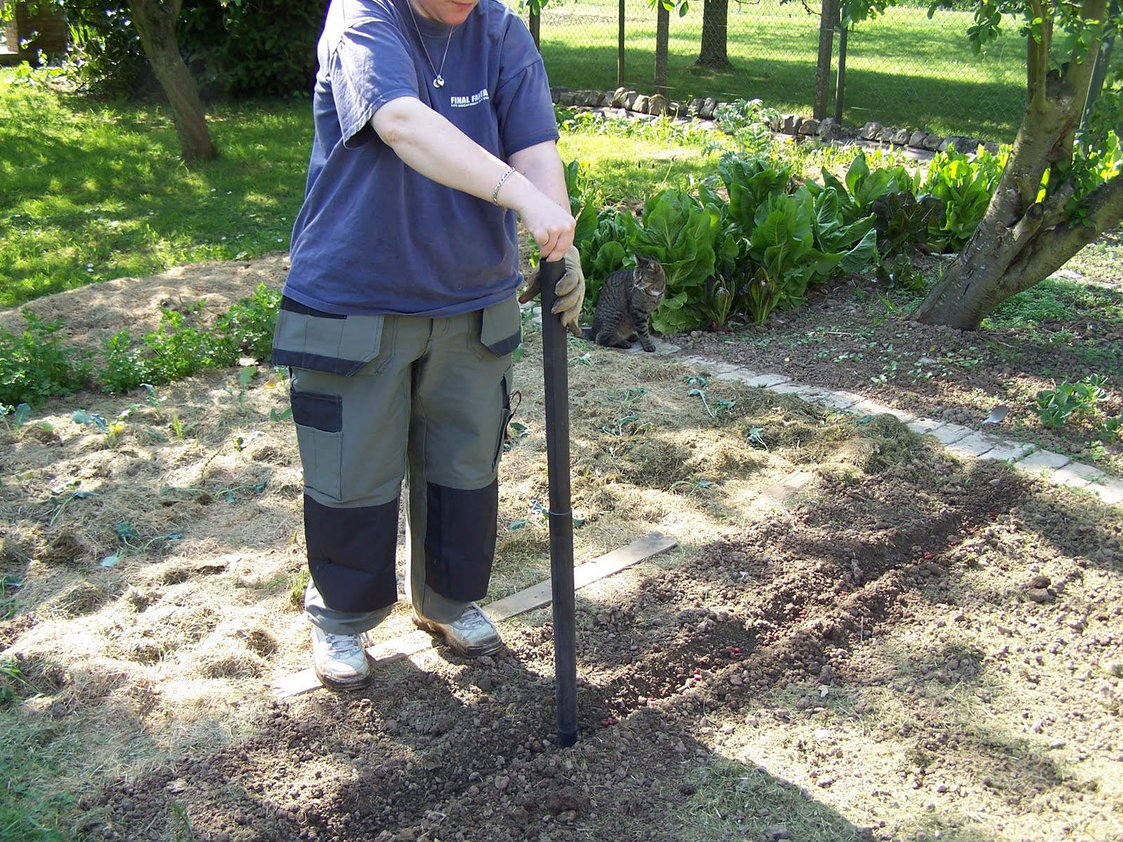 Comment semer sans se baisser ?