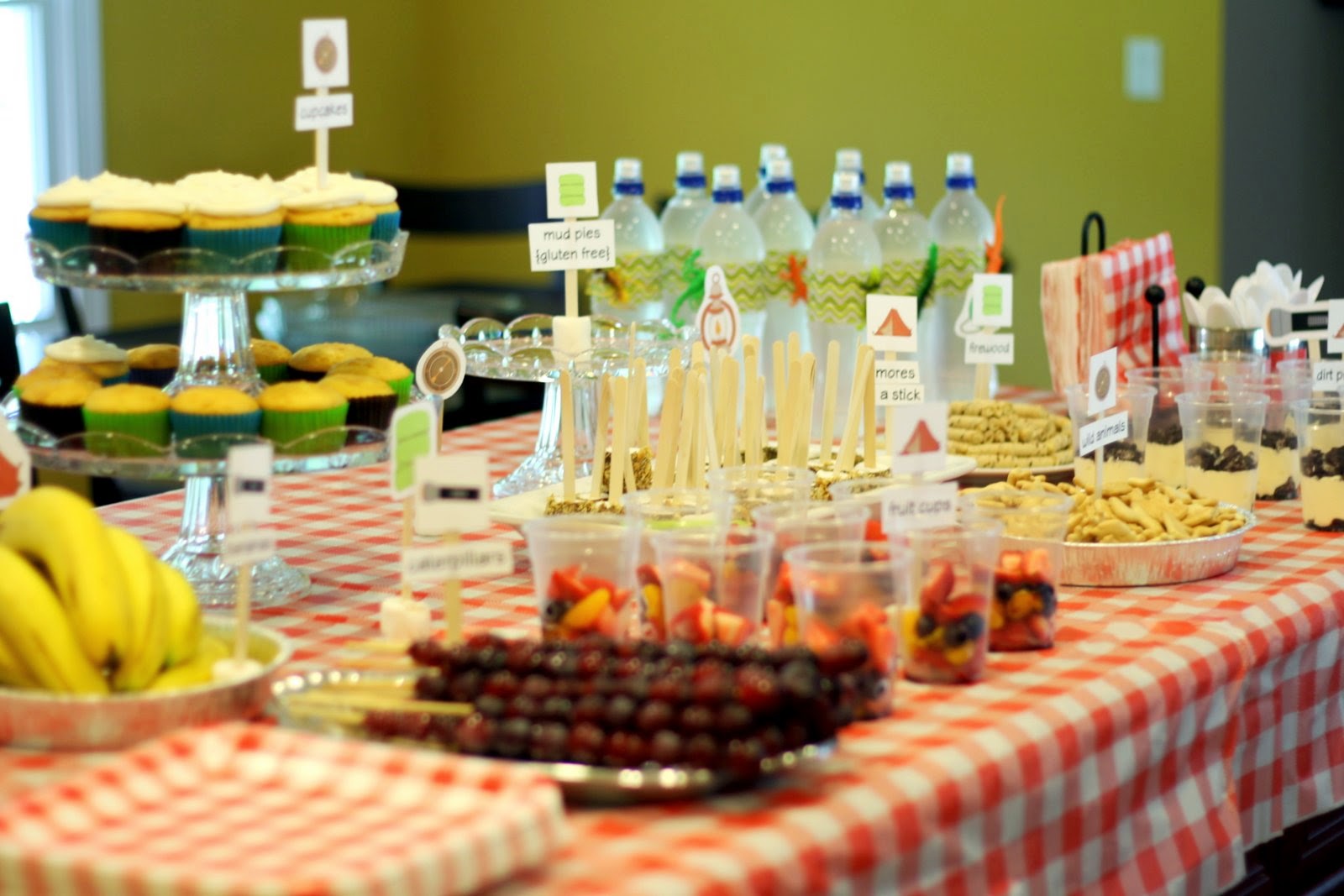 life as we know it: camping themed birthday party (With images