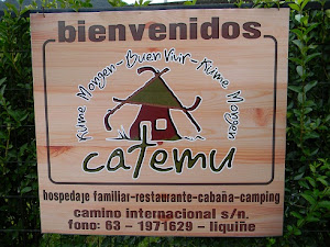Complejo Turistico Catemu de Liquiñe