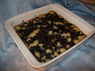 Blueberry Cobbler