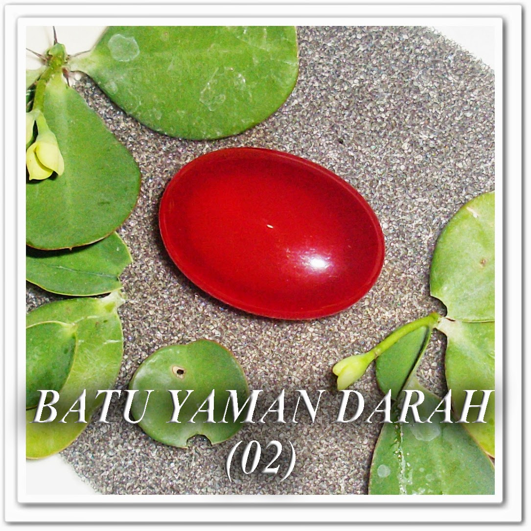 http://batuakik84.blogspot.com/2014/10/batu-akik-yaman-darah-02.html