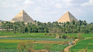 The pyramids form another view in Cairo, with a side filled by green grass, another being the dry desert.