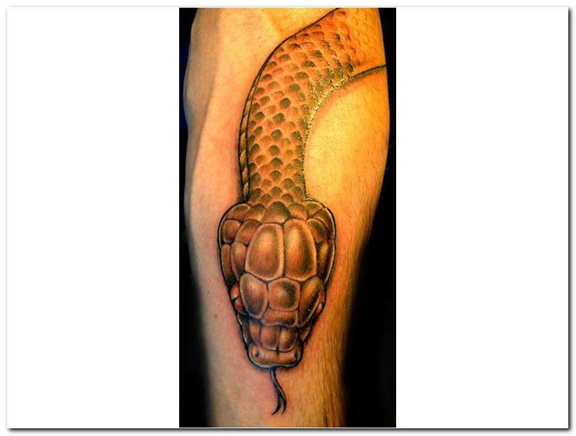 cobra tattoo designs samoan designs and patterns tatoo pushy