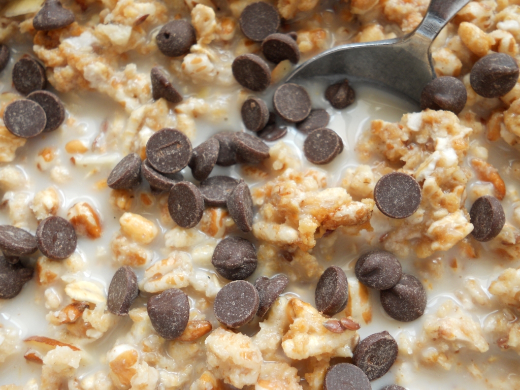 Snacking Squirrel Germans Love Sauerkraut