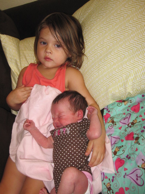 Perfect Big Sister