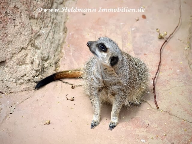 Best Horse Pranks Best Of Just For Laughs Gags Youtube