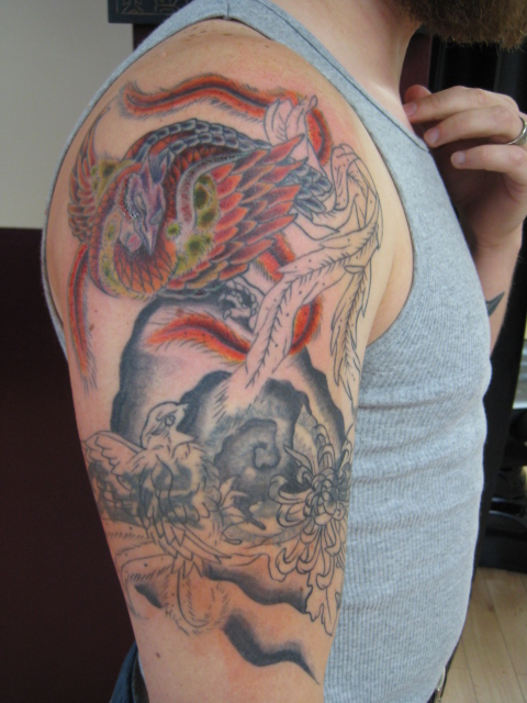 Anchor Tattoos Designs Bird Of Paradise Tattoos Designs