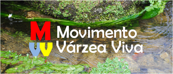 movimento várzea viva