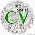 Making Your CV Effective