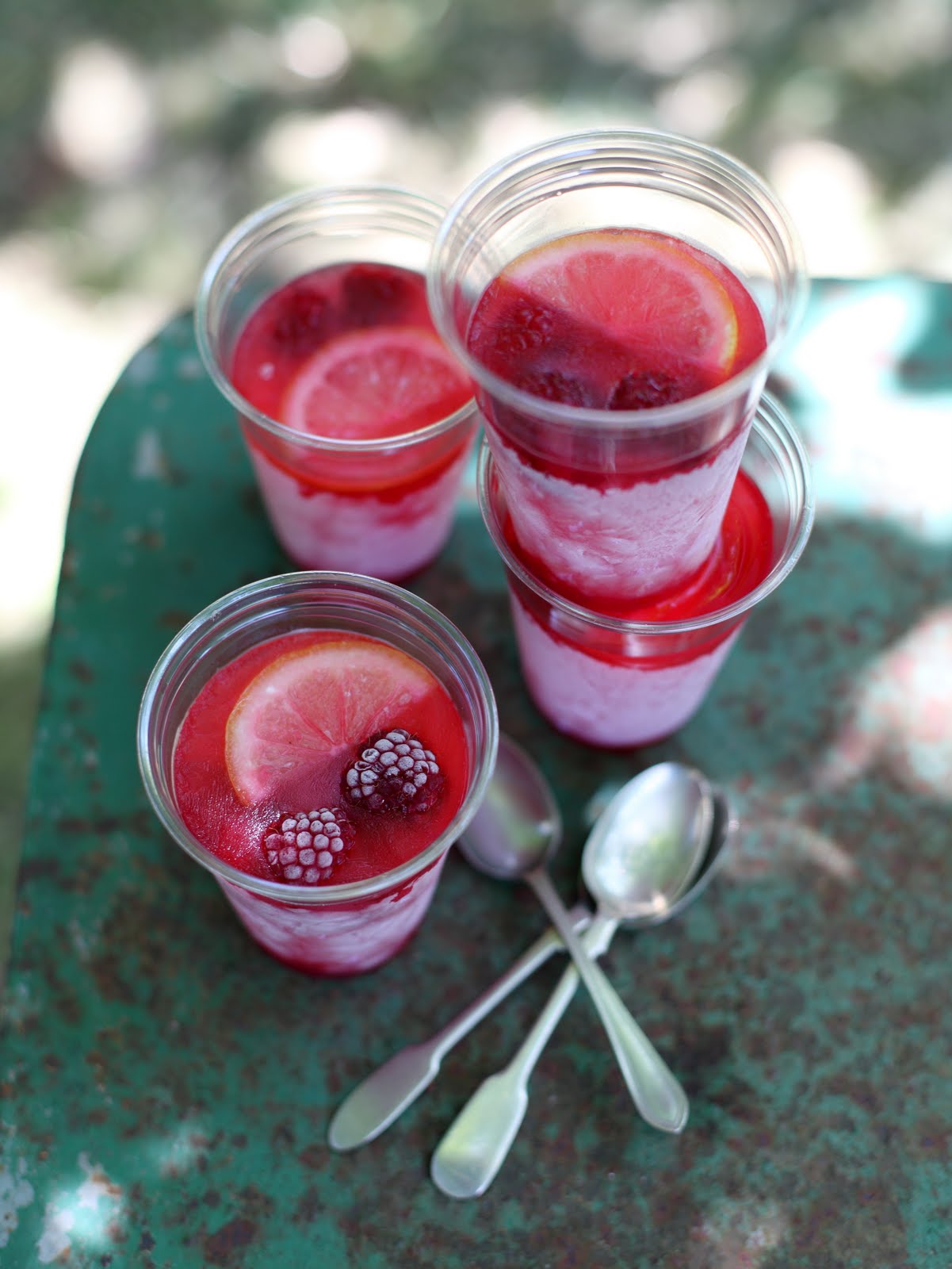 appledrane Fruity ice cups