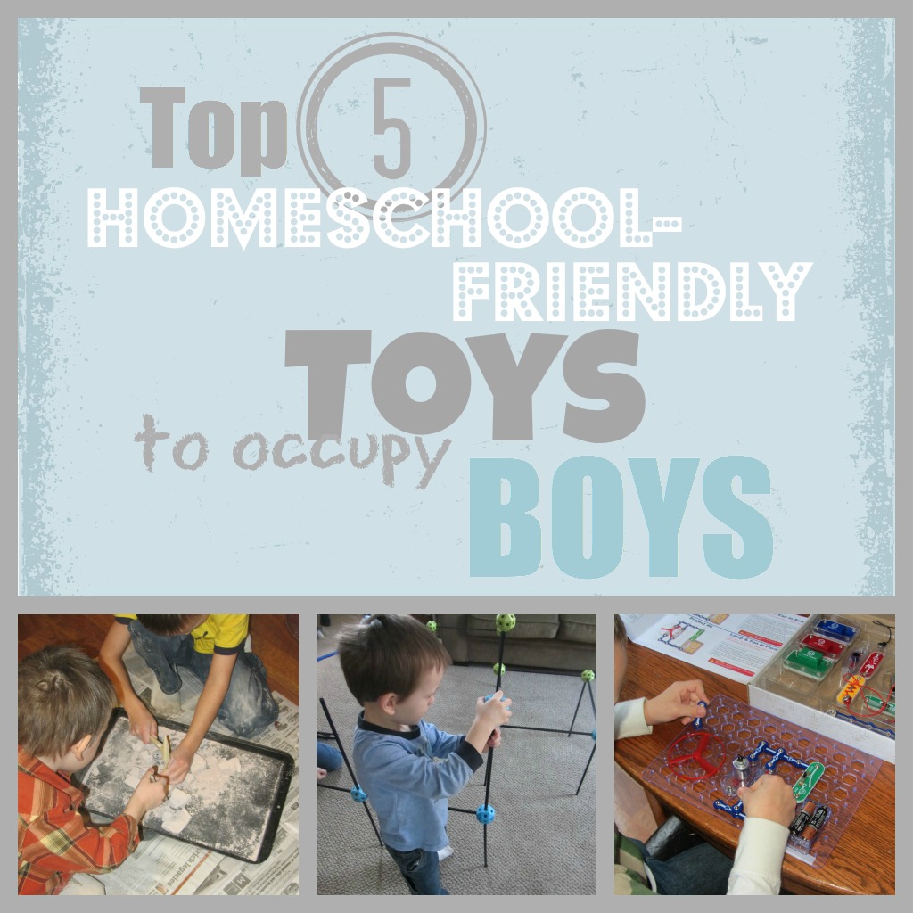 The Unlikely Homeschool Top 5 HomeschoolFriendly Toys to Occupy Boys