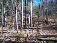 Evil Dead News News Related To The Evil Dead Franchise Evil