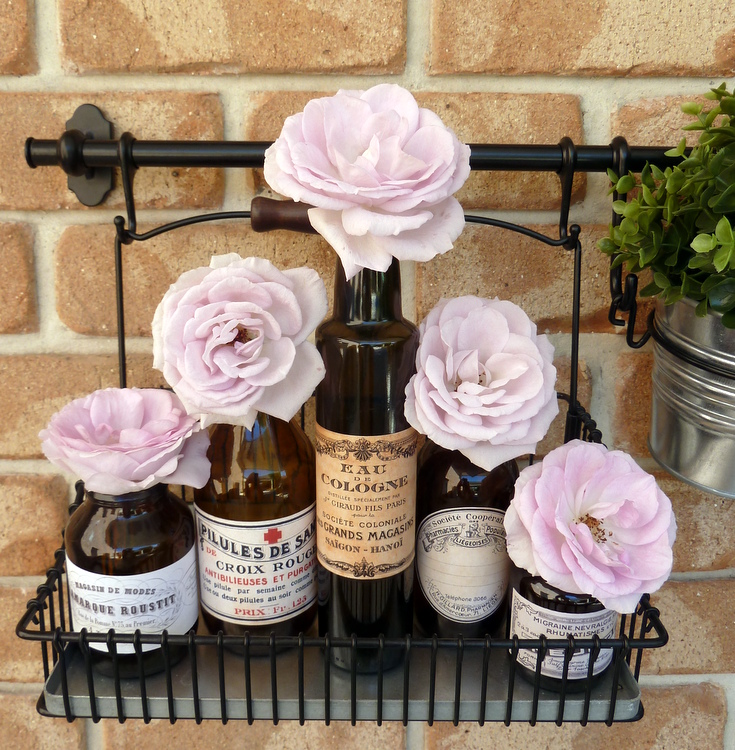 Stylish Settings Vintage Style Medicine Bottles with Labels